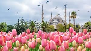 The Best Things to Do in Istanbul During Spring